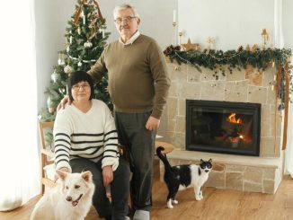 Dogs vs Cats: Which Pet Boosts Seniors' Lives More?