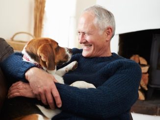 Elderly Pet Ownership: Joys and Challenges for Seniors