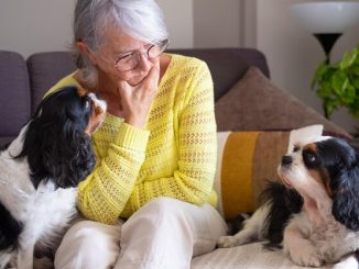 Furry Friends for the Golden Years: Top Pets for Seniors