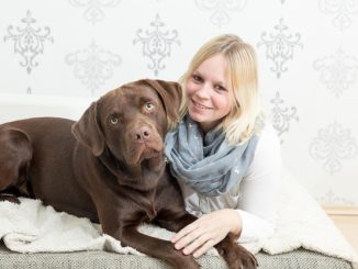 Great Dane's Tearful Goodbye Leads to Joyful New Beginning
