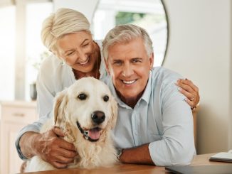 The Perfect Pooch Partner for Your Golden Years