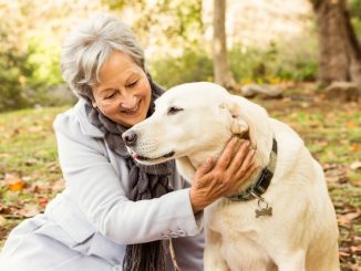 Choosing the Perfect Pooch: A Guide for Older Dog Lovers