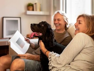 Elderly Pet Owners: Planning for Furry Friends' Futures