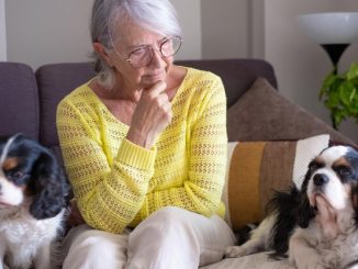 Elderly Pet Owners: Safeguarding Your Furry Friend's Future