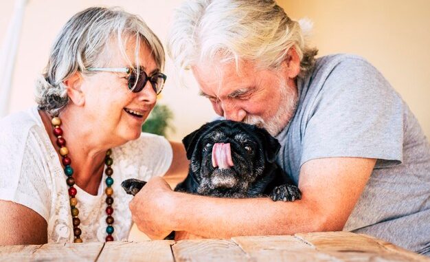 Golden Pals: Seniors Uniting with Shelter Pets at No Cost