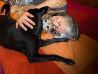 Meet the Fab Five Senior Pets Seeking Loving Homes