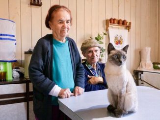 Robotic Pets Bring Joy to Homebound Seniors in New Jersey