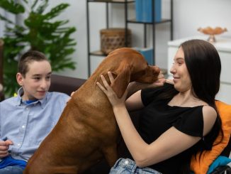 Therapy Dog Leo: Edmonton's Furry Friend for All Ages