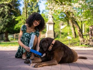 Therapy Dog Leo: From Runt to Campus Mental Health Hero