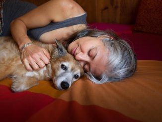 Mr Mo Project Gives Senior Dogs a New Lease on Life