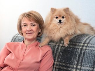 Top Dog Breeds for Seniors: Calm, Compact and Carefree