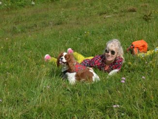 Fostering Hope: Uniting Seniors and Pets in Summerland