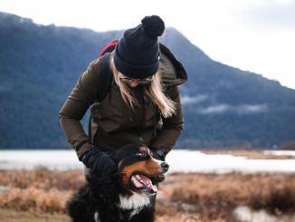 Okanagan's Silver-Haired Heroes Keep Canine Companions Close
