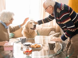 Paws for Thought: Senior Living Goes Pet-Friendly