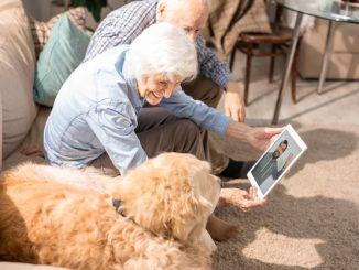 Robotic Pets: A Furry Cure for Senior Loneliness