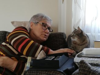 Robotic Pets: A Purrfect Companion for the Elderly