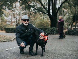 Service Dogs Empower Seniors With Disabilities
