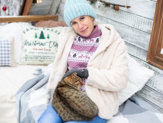 Winter Care for Senior Pets: Tailored Plans for Cosy Twilight Years