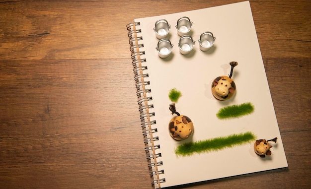 Debunking 6 Common Myths About End-of-Life Planning