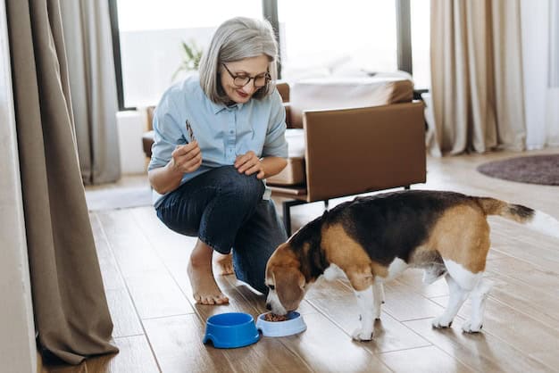 Best Dog Food for Older Dogs