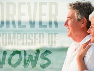 Join Us for Senior Health Wellness Day and Boost Your Well-Being - senior health wellness day 2025