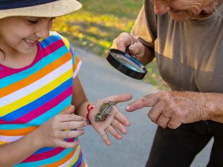 Stop Wasting Money on Grandkids, Free Moments Forge Stronger Bonds - free activities grandparents grandkids