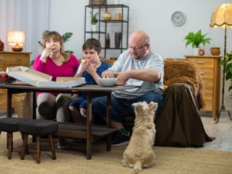 Ignoring Grandparents Day, You Risk Losing Priceless Family Wisdom - national grandparents day advice 1